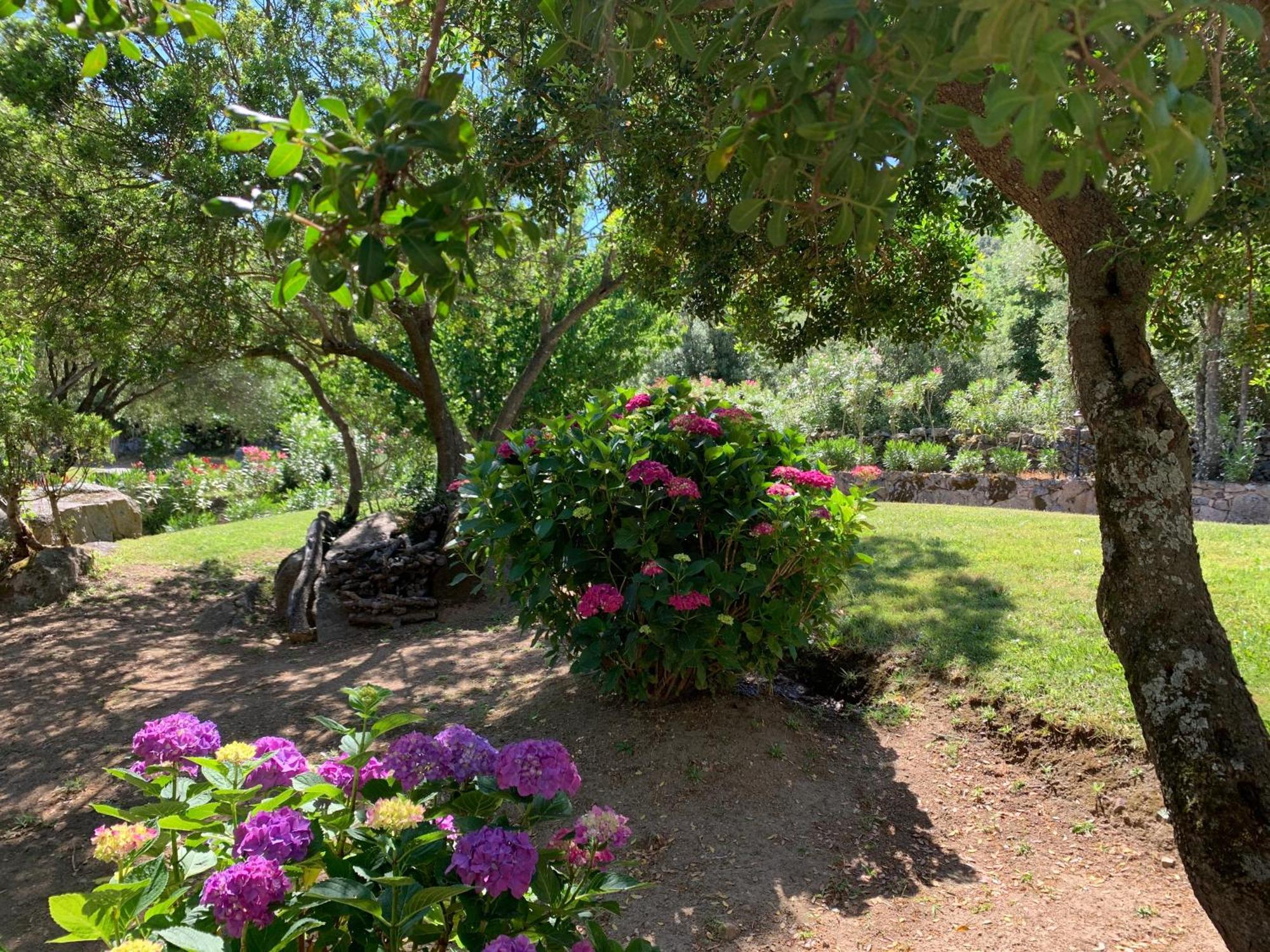 Hotel Valkarana Country Relais (Adults Only) Sant'Antonio di Gallura Eksteriør billede