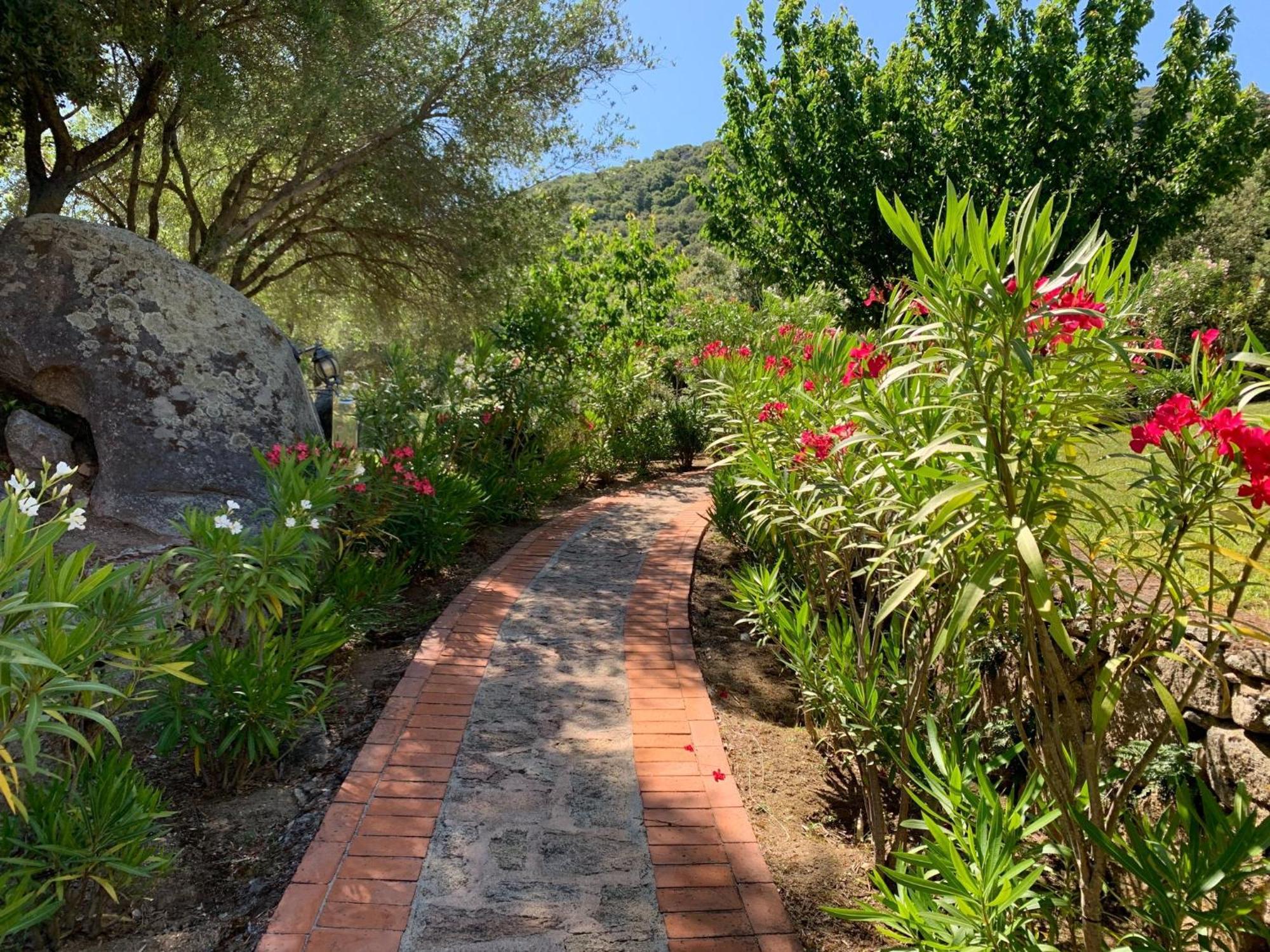 Hotel Valkarana Country Relais (Adults Only) Sant'Antonio di Gallura Eksteriør billede